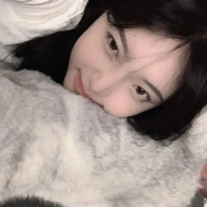 五香宫的猫 在线观看